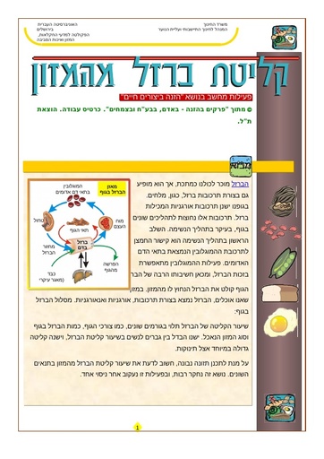 ברזל בתזונת האדם