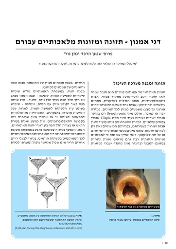 דגי אמנון - תזונה ומזונות מלאכותיים