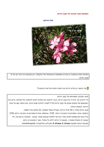 השפעת תנאי סביבה על הדיות עם מיומנויות אקסל פשוטות