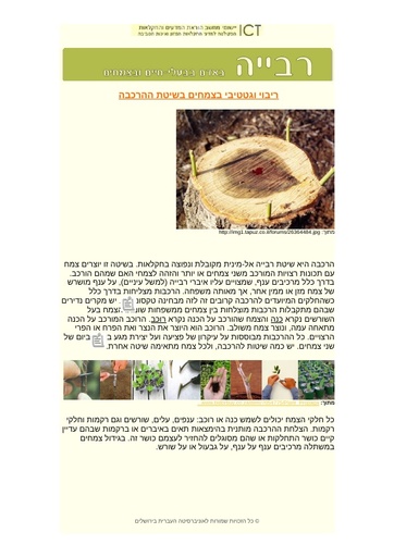 הרכבה בצמחים