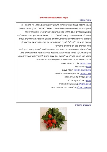 אשרושים וחלחולים (מקור מבלע) עם מיומנויות אקסל מורכבות