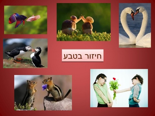 חיזור בטבע בכלל ובמחלקת העופות בפרט