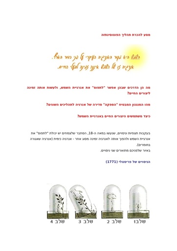 מסע להכרת תהליך הפוטוסינתזה