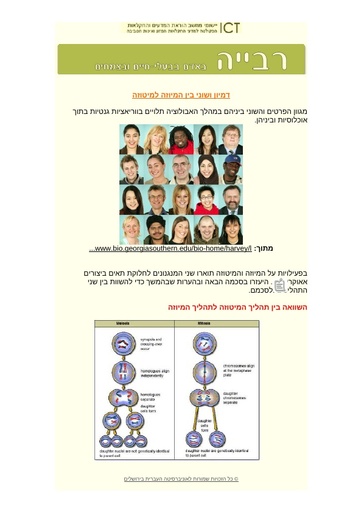 הבדלים בין מיוזה ומיטוזה