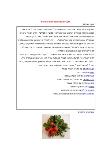 אשרושים וחלחולים (מקור מבלע) עם מיומנויות אקסל מורכבות