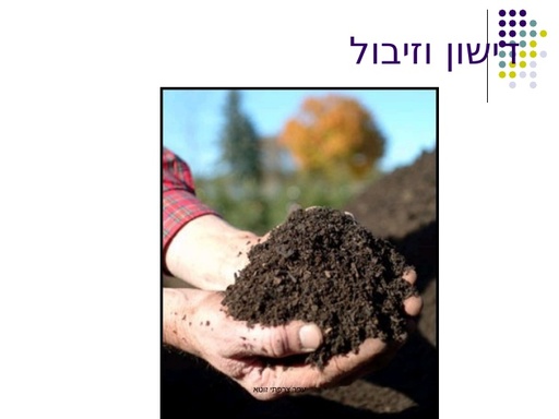 הזנת הצמח- דשן כימי או זבל אורגני?