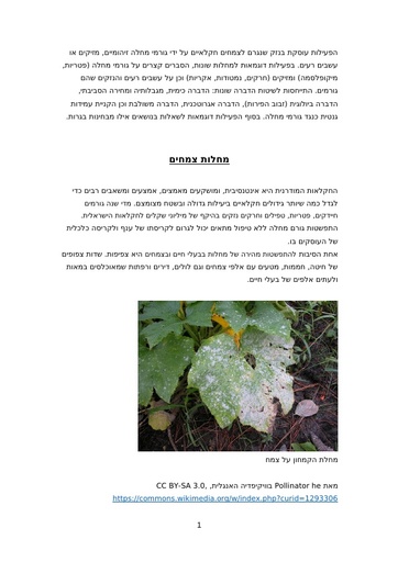 רצף הוראה- מחלות צמחים