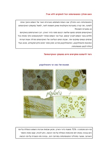 פוטוסינתזה בים