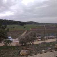 בוסתן צורן