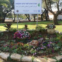 מרכז  מורים